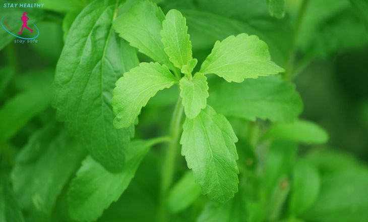 is stevia soda bad for you?
